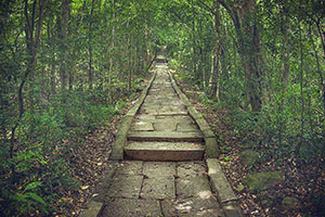 Ritigala Forest Monastery